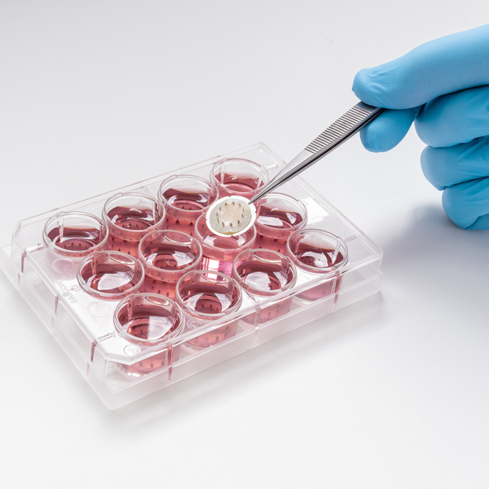 Membrane Sample Holder Kit